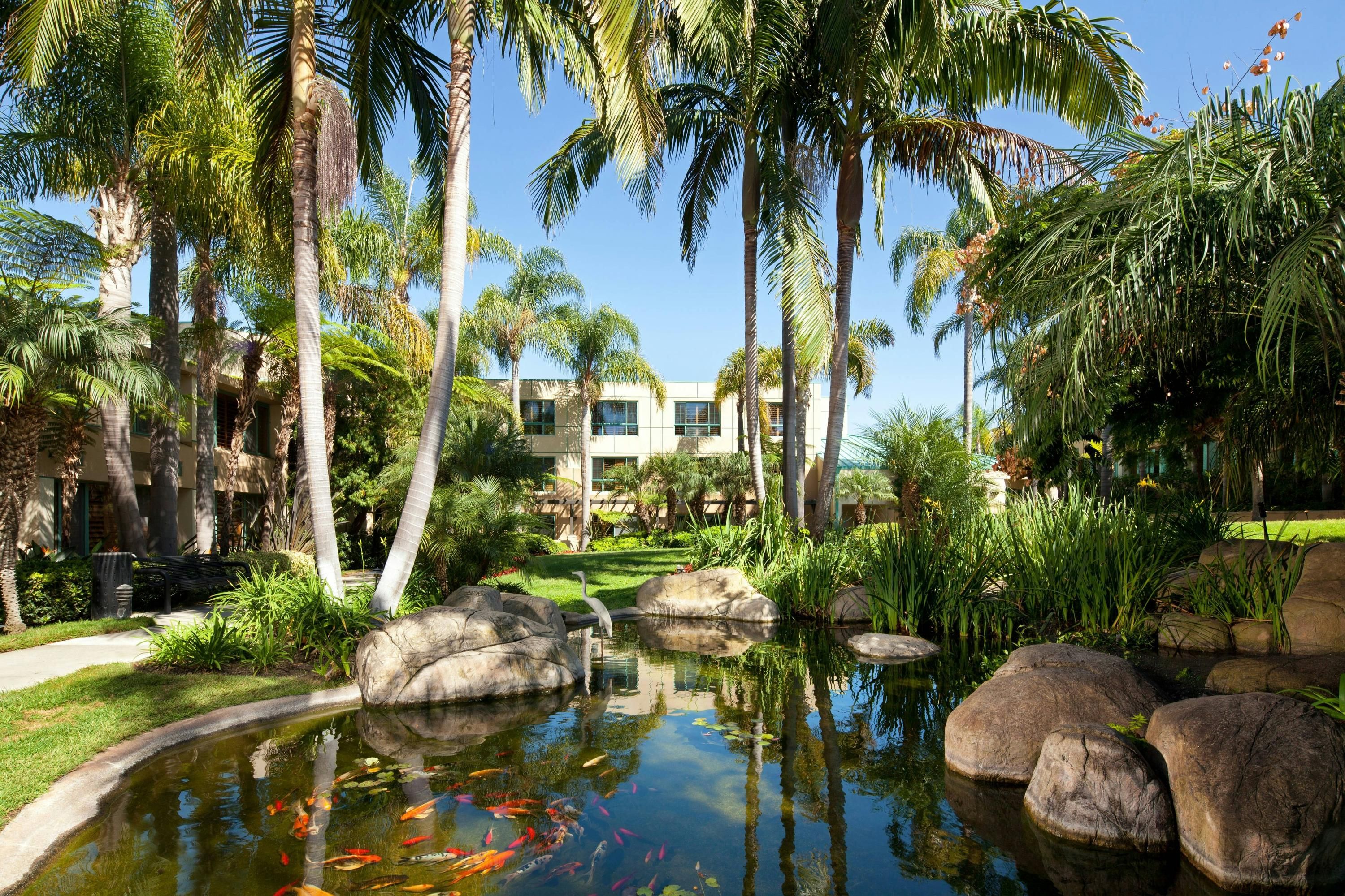 Outdoor view