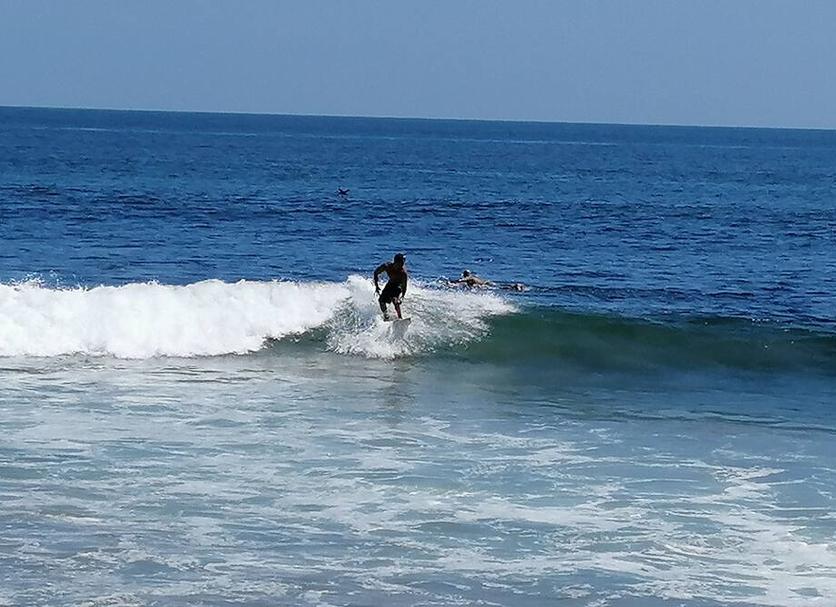 Other Photo