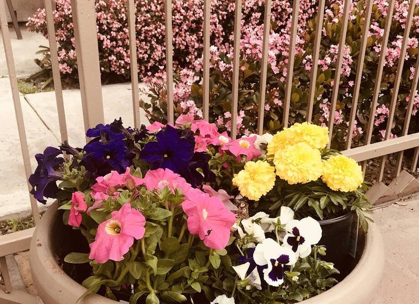 Outdoor view Photo