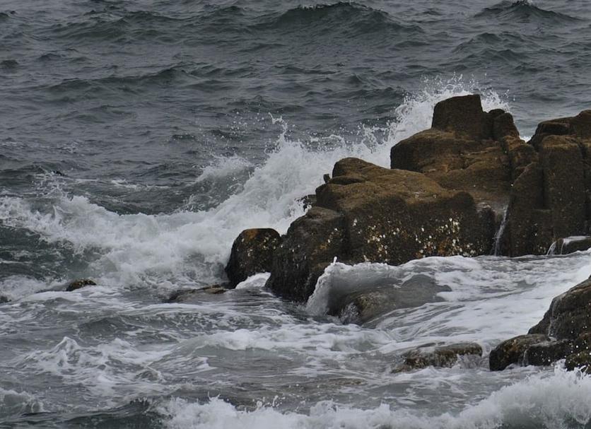 Other Photo