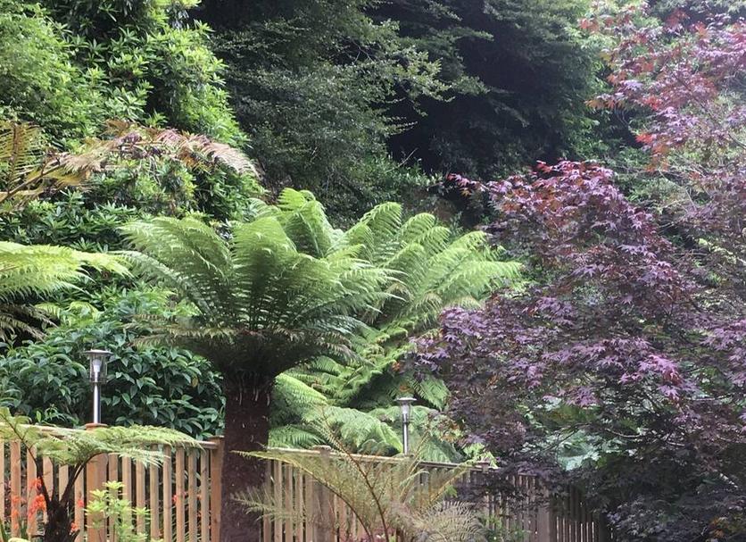 Outdoor view Photo