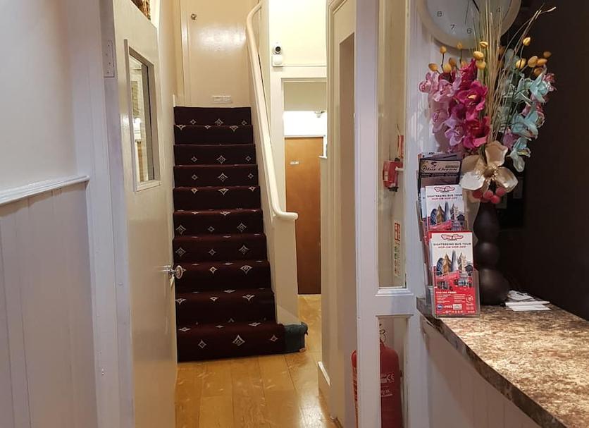 Stairs Photo