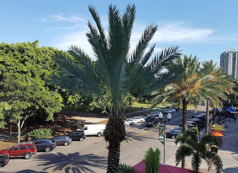 Outdoor view Photo