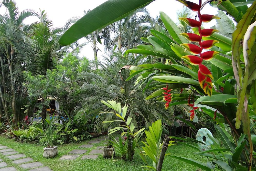 Outdoor view