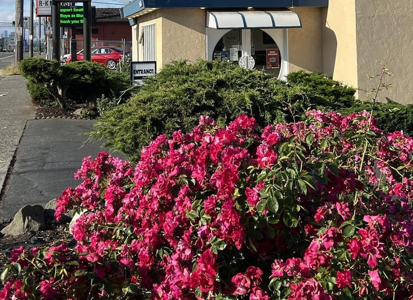 Outdoor view Photo