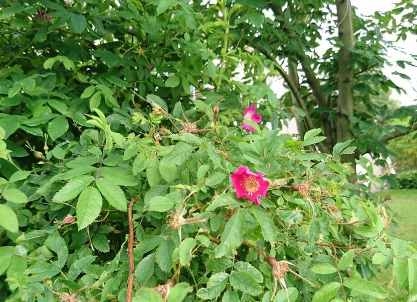 Other Photo