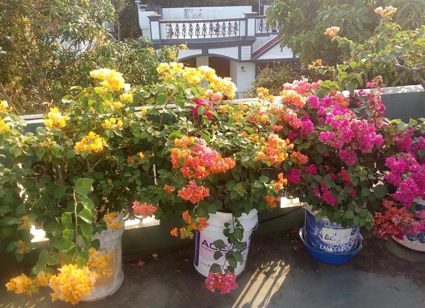 Outdoor view Photo