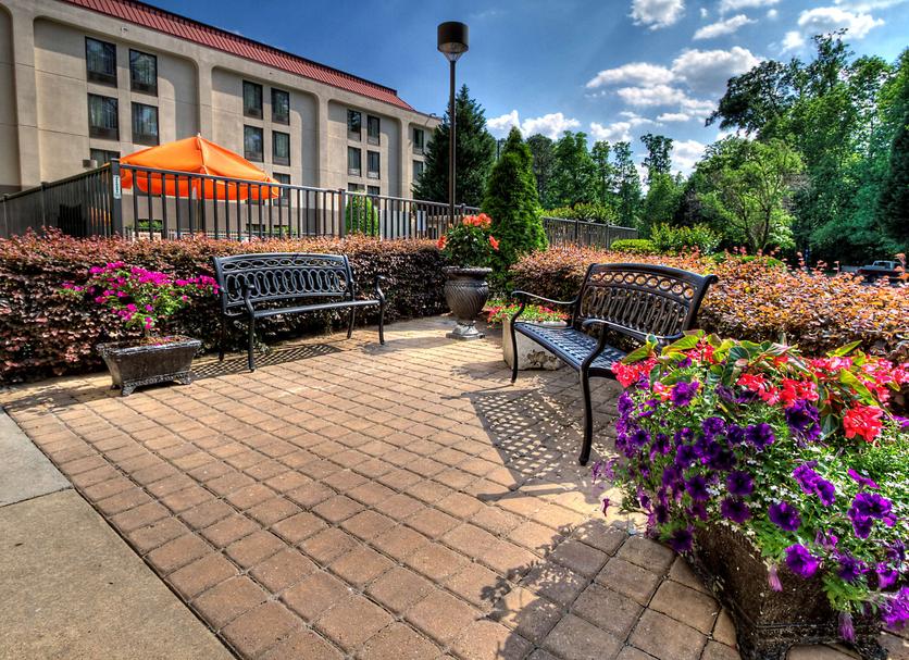 Patio Photo
