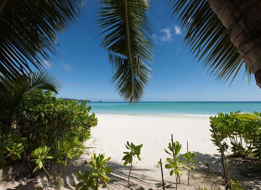 Beach Photo