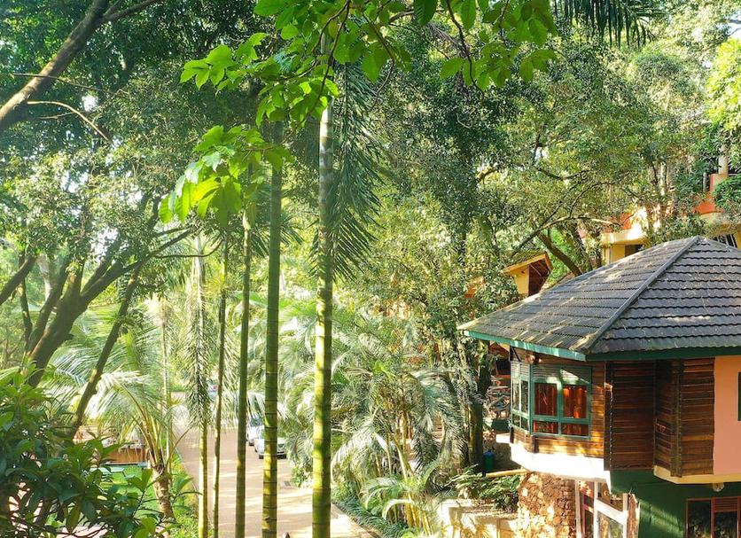 Outdoor view Photo