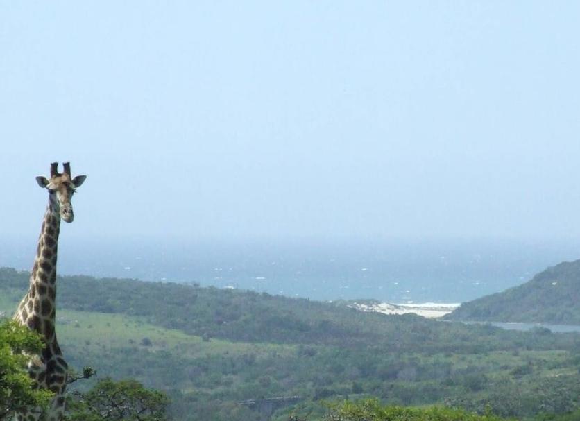Outdoor view Photo