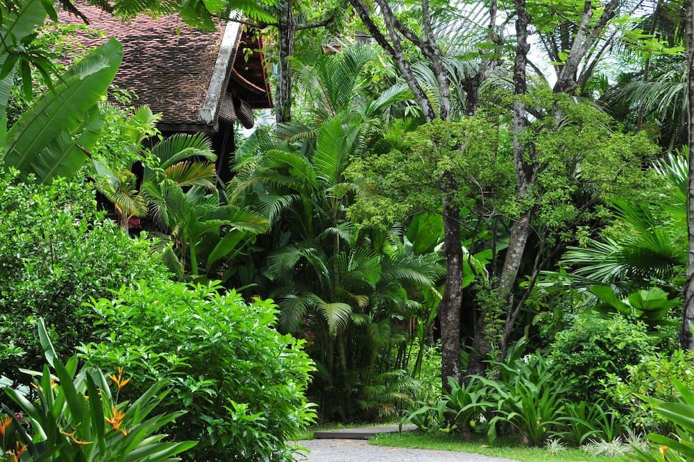 Outdoor view