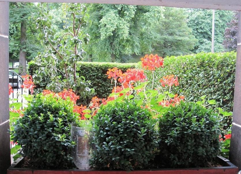 Outdoor view Photo