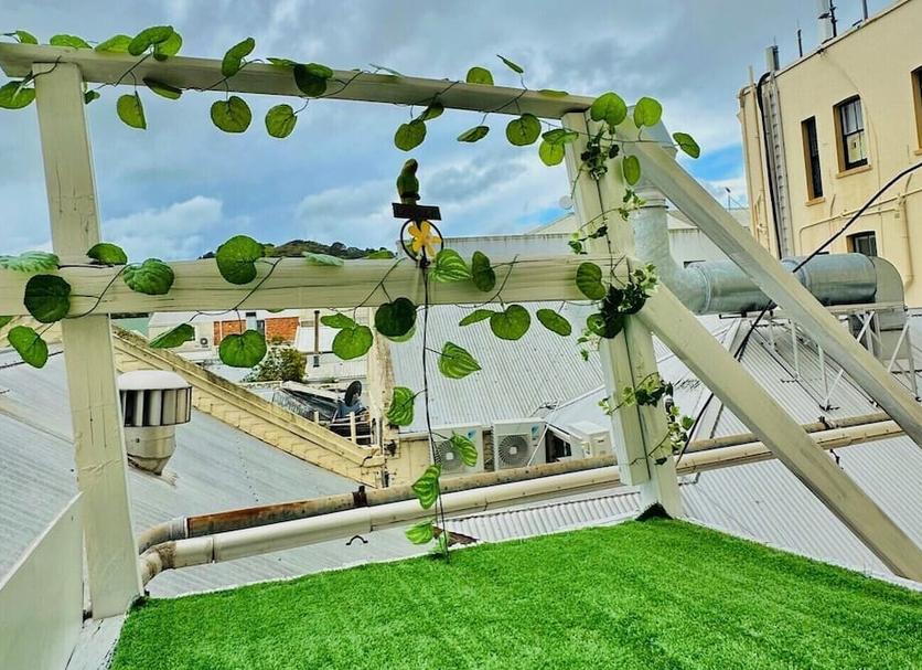 Outdoor view Photo