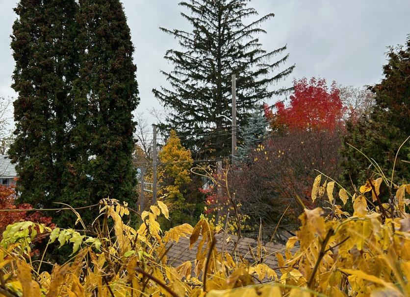 Outdoor view Photo