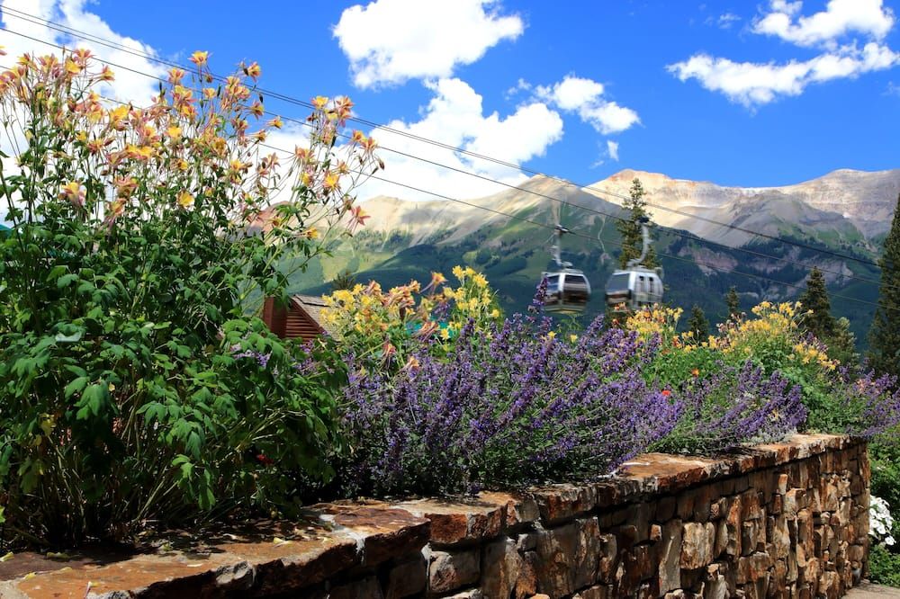 Outdoor view