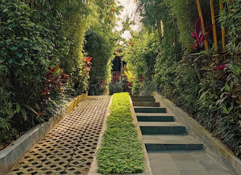 Outdoor view Photo