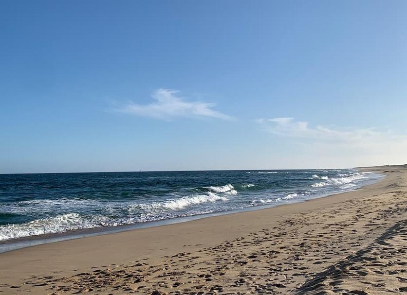 Beach Photo