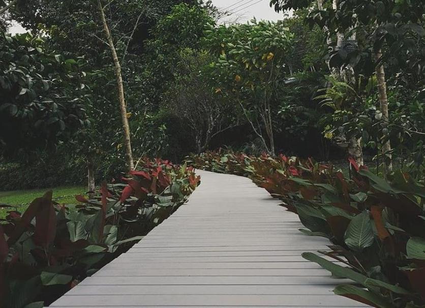 Outdoor view Photo