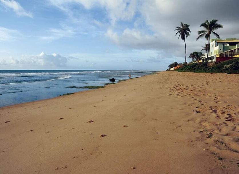 Beach Photo