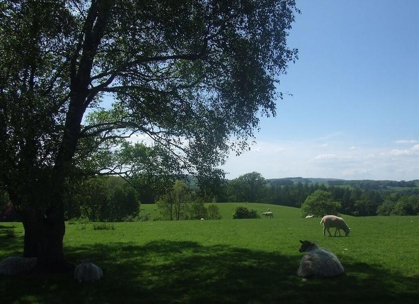 Outdoor view Photo