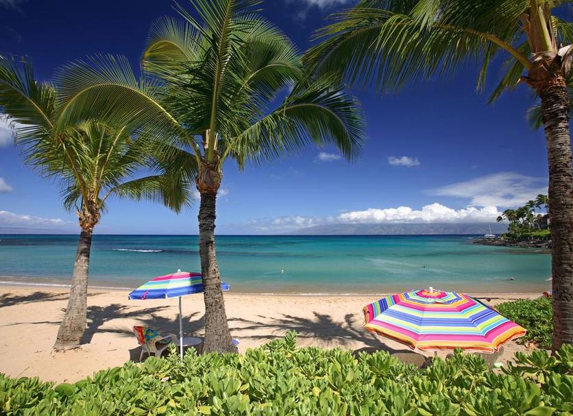 Beach Photo