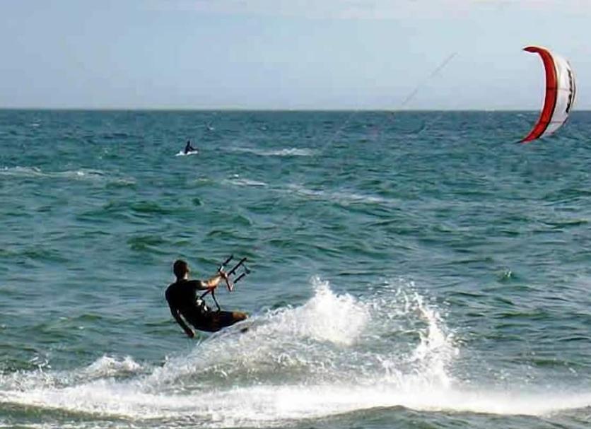 Other Photo