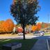 Outdoor view