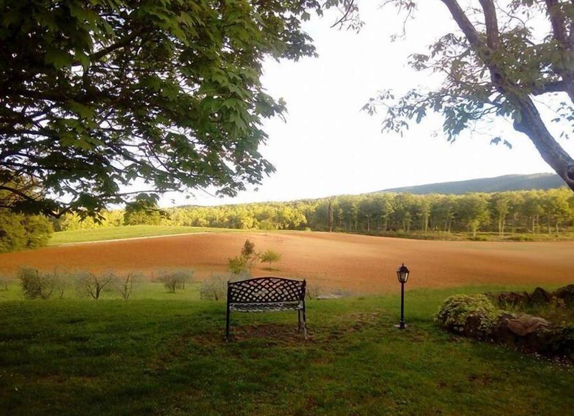 Outdoor view Photo