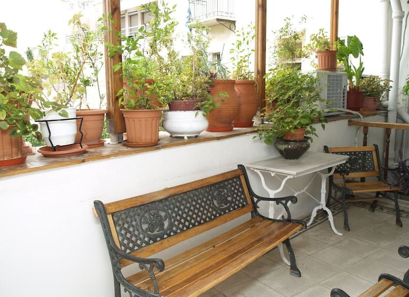 Other Photo