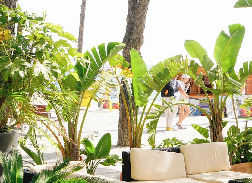 Outdoor view Photo