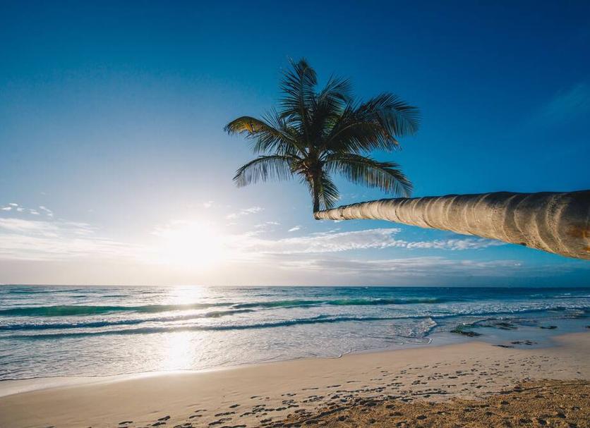 Beach Photo