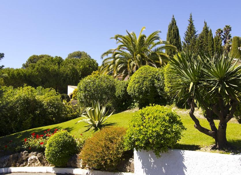Outdoor view Photo