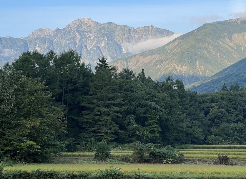 Outdoor view Photo