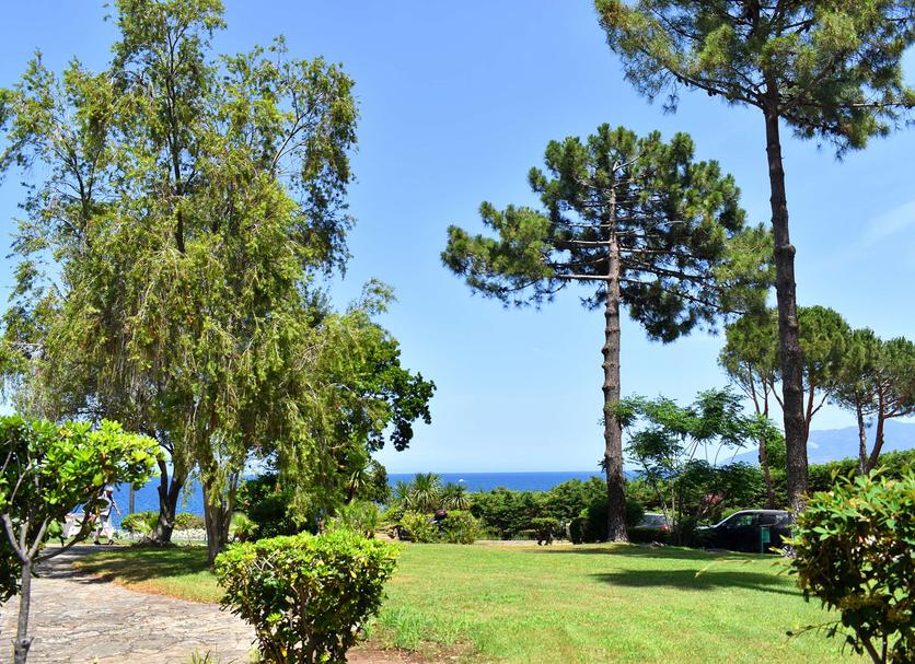 Outdoor view Photo