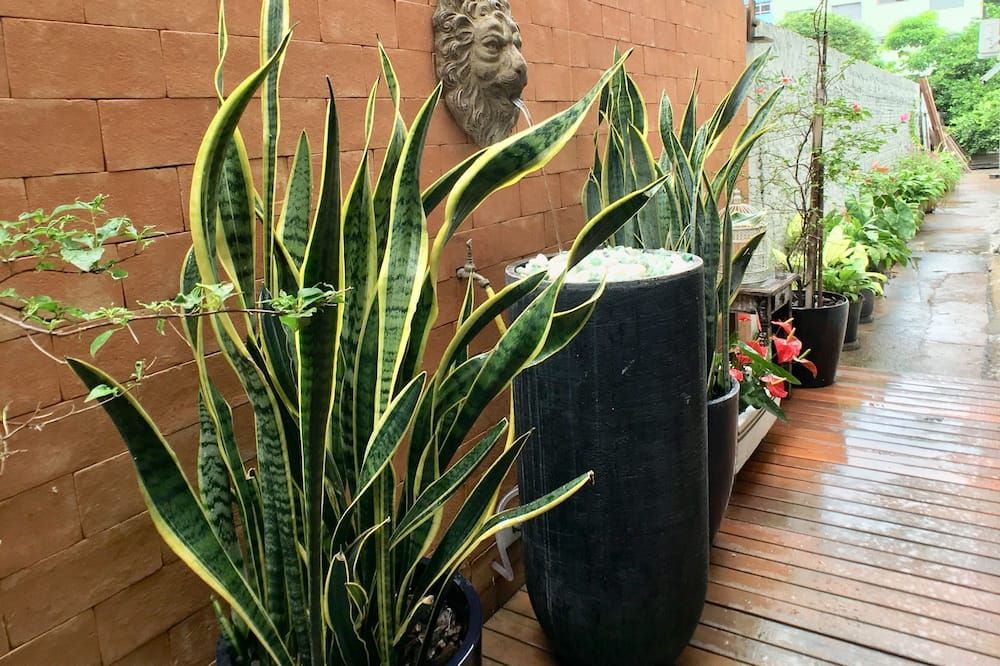 Outdoor view