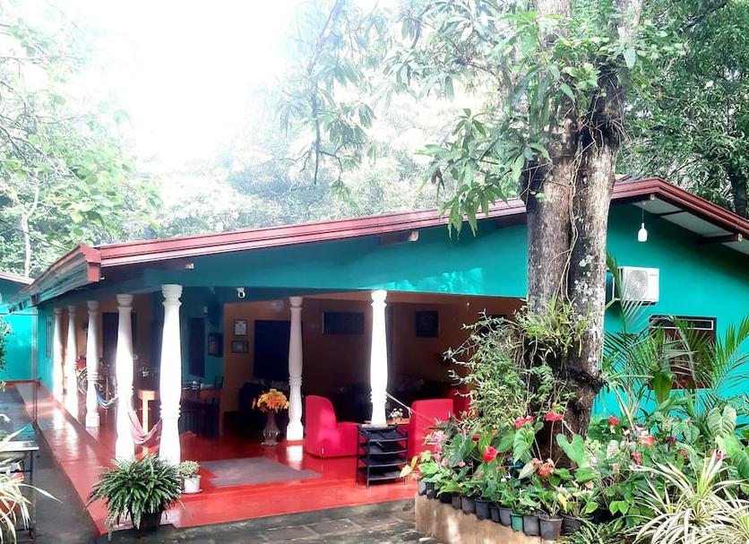 Other Photo