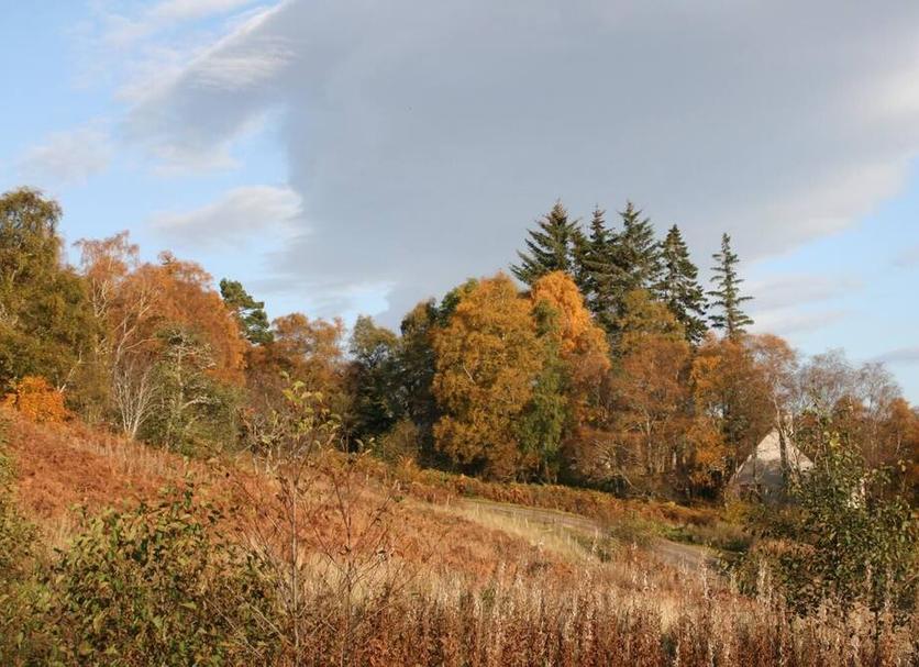 Outdoor view Photo