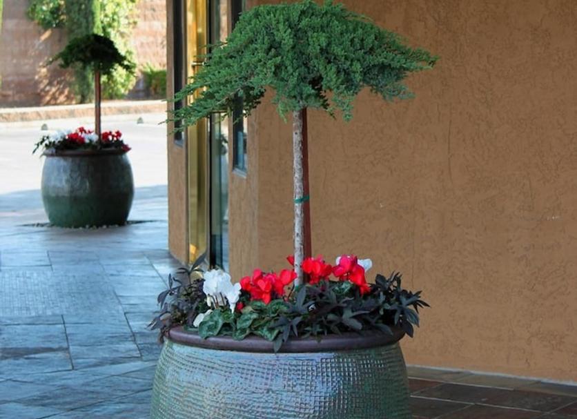 Outdoor view Photo