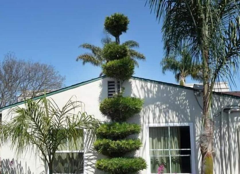 Outdoor view Photo