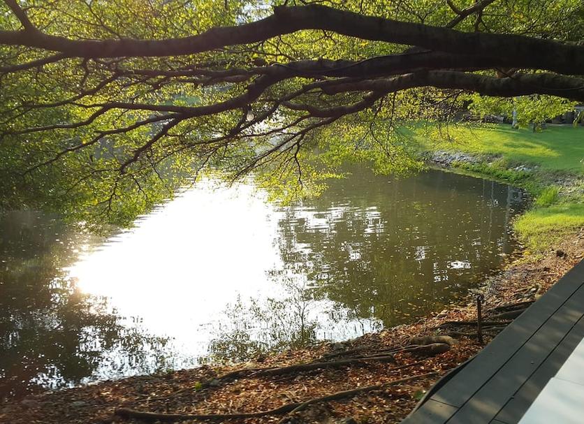 Outdoor view Photo