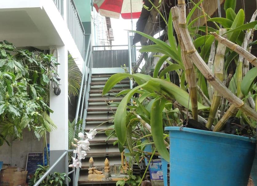 Other Photo