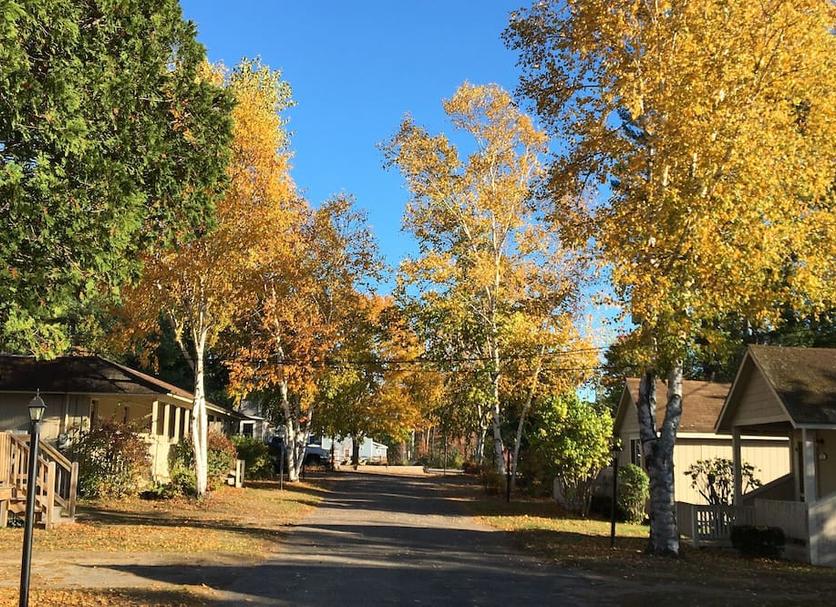 Outdoor view Photo
