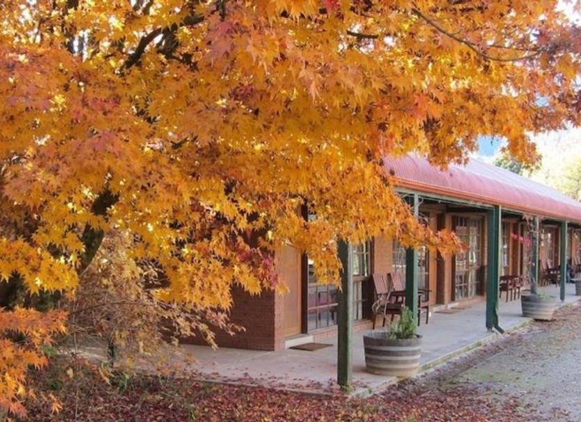 Outdoor view Photo