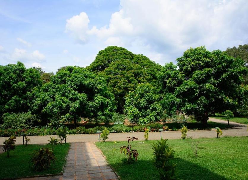 Outdoor view Photo
