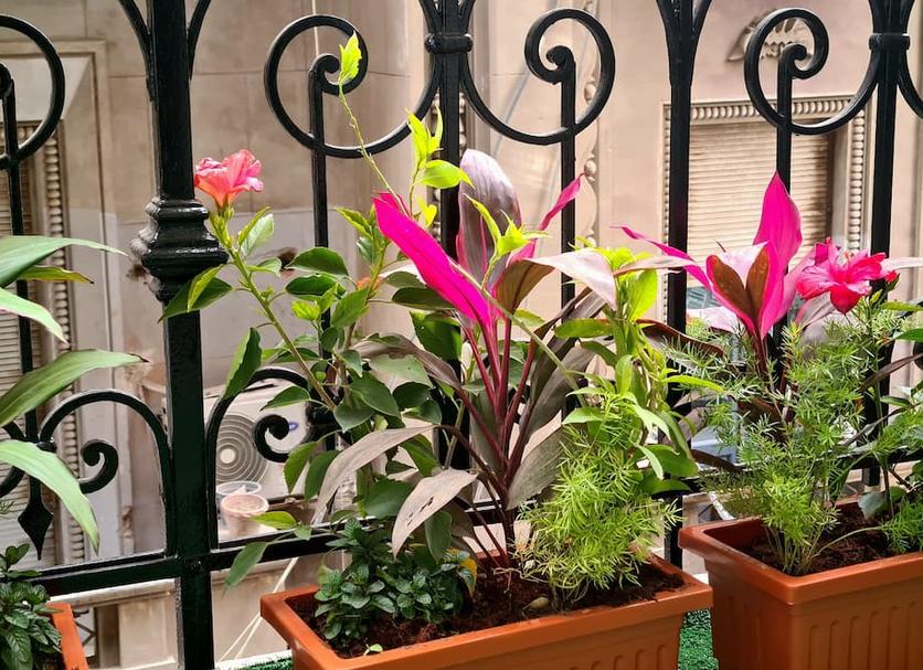 Outdoor view Photo