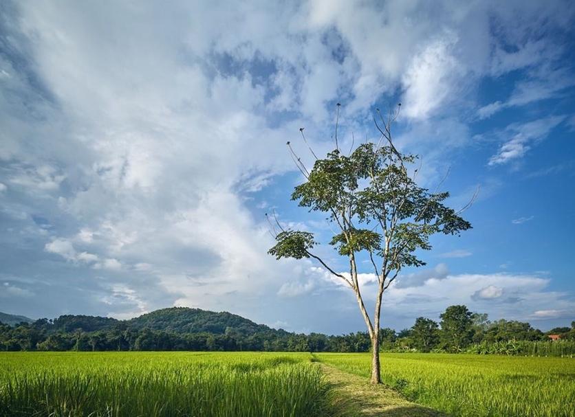 Outdoor view Photo