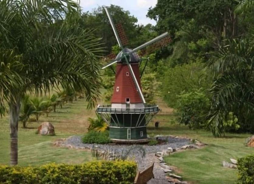 Other Photo