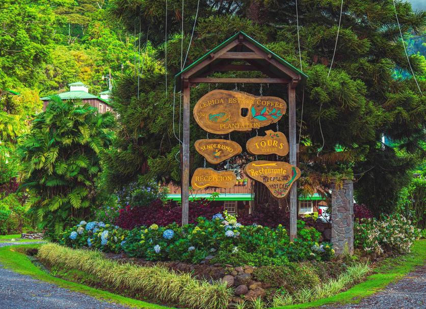 Outdoor view Photo