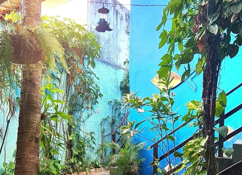 Outdoor view Photo
